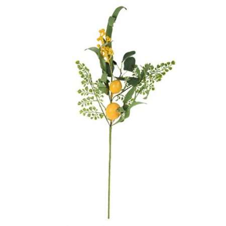 Branche de mimosa et citrons - Haut. 70cm