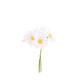 Lot de 6 Marguerites sur Tige Blanche et Jaune 12 cm