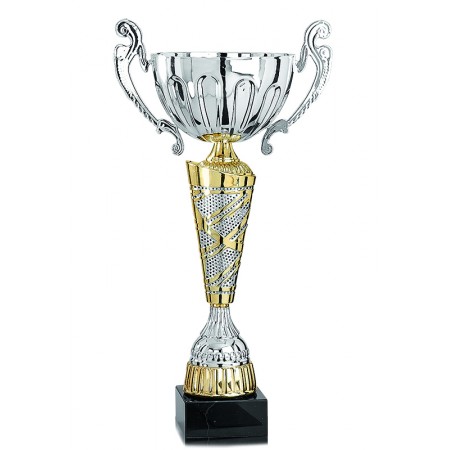 Coupe des champions or et argent - Haut. 37 cm