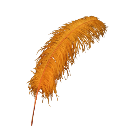 Lot de 10 plumes d'autruche orange 65-70 cm
