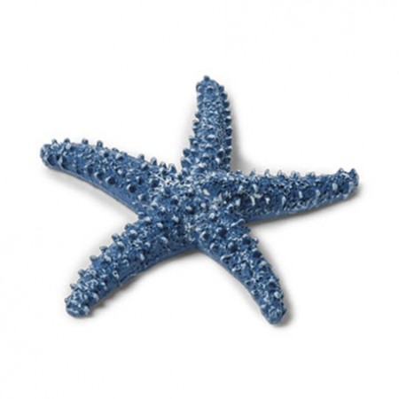 Etoile de mer en résine bleue marine 6,5 cm