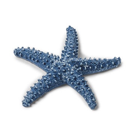 Etoile de mer en résine bleue marine 6,5 cm