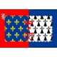 Drapeau Pays de Loire - tissu - 60 x 90 cm