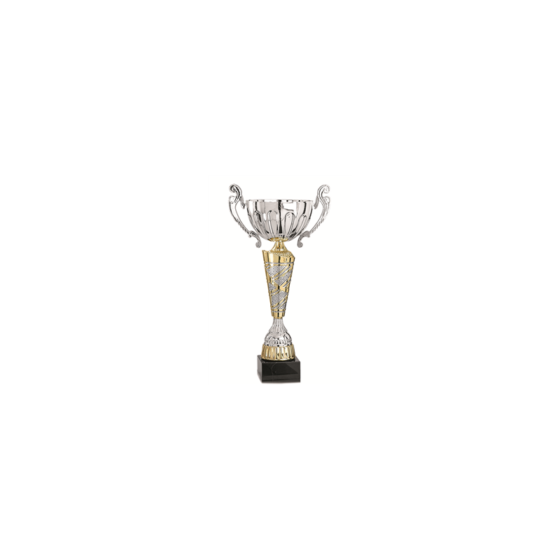 Coupe des champions or et argent - Haut. 37 cm
