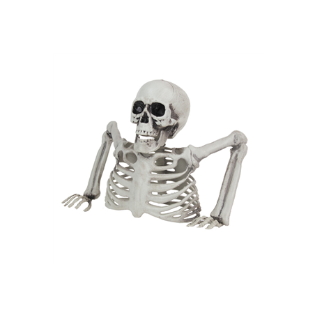 Squelette mort vivant plastique 25 x 12 x 20cm