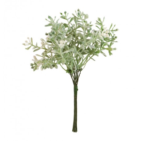 Mini bouquet de Santoline vert - Haut. 16cm