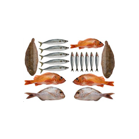 Mobiles Poissons de mer x 18 - carton