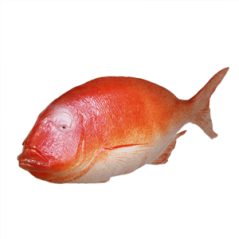 Poisson pvc - Long. 38cm