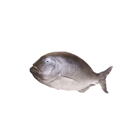 Poisson gris - pvc - Longueur 38 cm