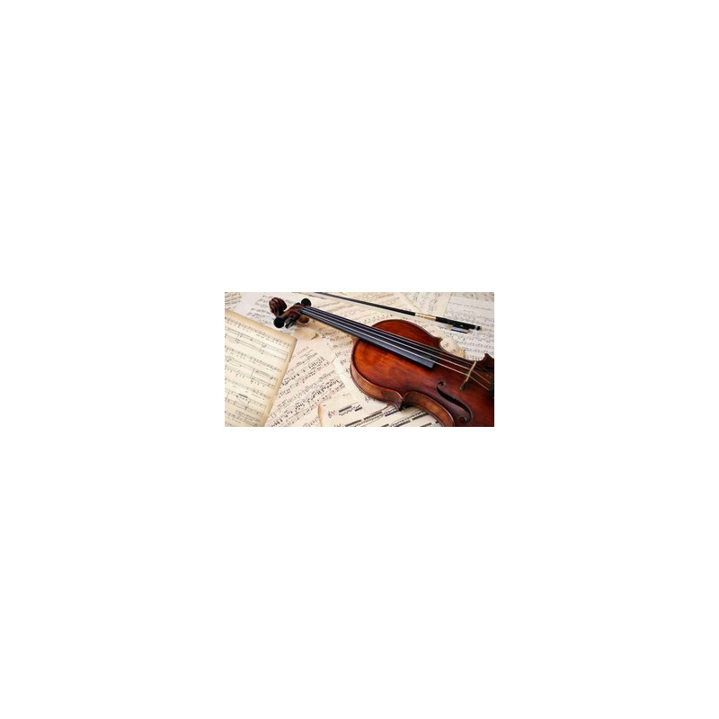 Affiche Violon recto verso 80 x 40 cm PVC M1*