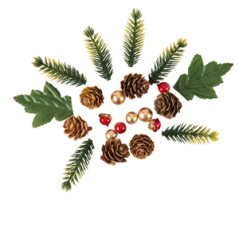 Sachet de 12 décorations hiver sapin et pommes de pin