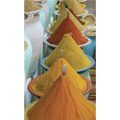 Kakémono Oriental Epices 80 x 180 sur Toile M1 / avec structure  X- Banner