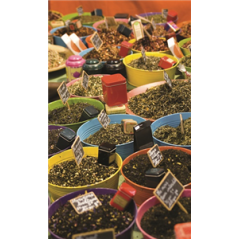 Kakémono Oriental Epices 2 - 80 x 180 sur Toile M1 / avec structure  X- Banner