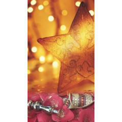 Affiche Lampe Aladin Verso Etoile - 100 x 55 cm