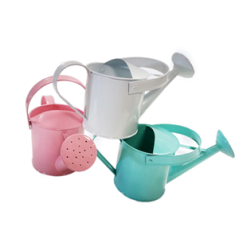 Lot de 3 arrosoirs métal (coloris assortis) - Haut. 20cm Diam. 10cm