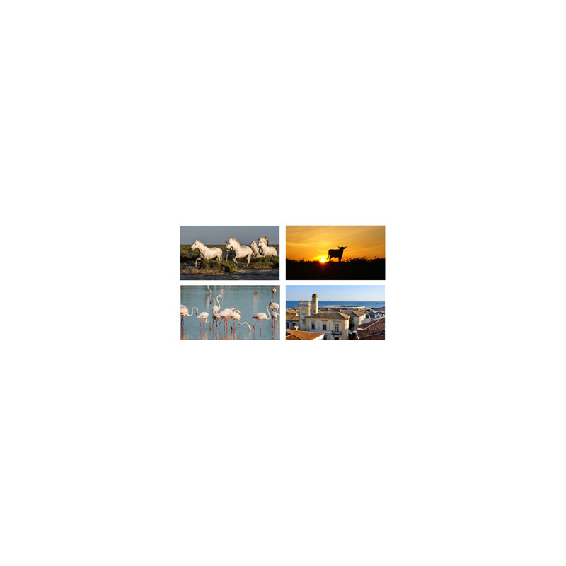 Mobiles Camargue x4 - carton - 27 x 49cm