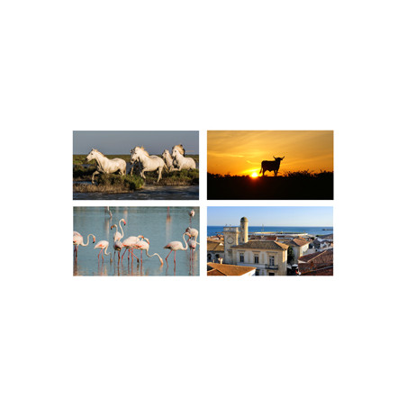 Mobiles Camargue x4 - carton - 27 x 49cm