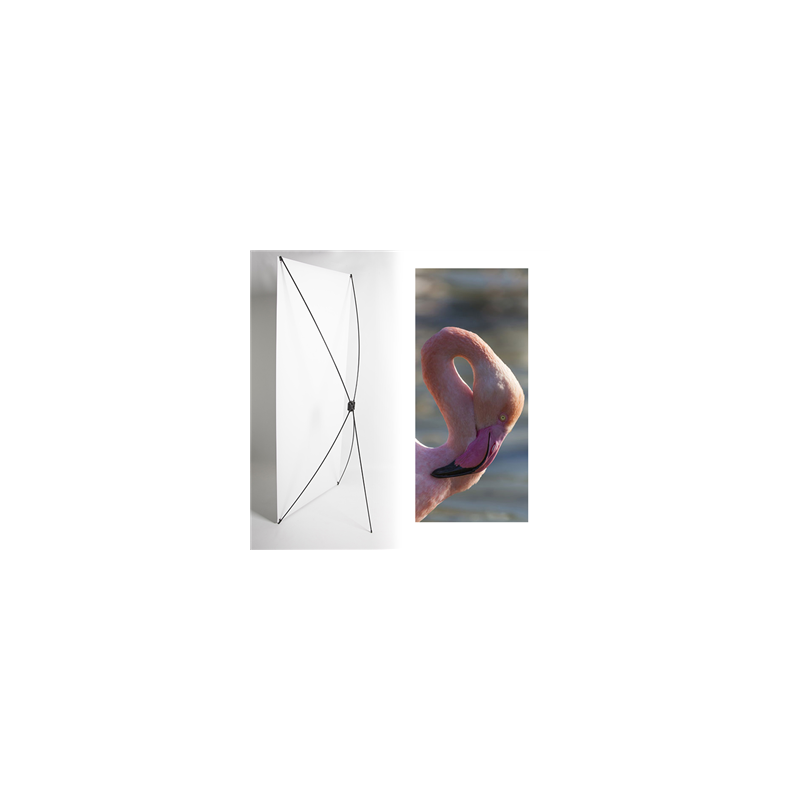 Kakemono flamant - 180 x 80 cm - Toile M1 avec structure  X- Banner