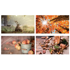 Mobiles Automne x4 - carton - 27 x 49cm