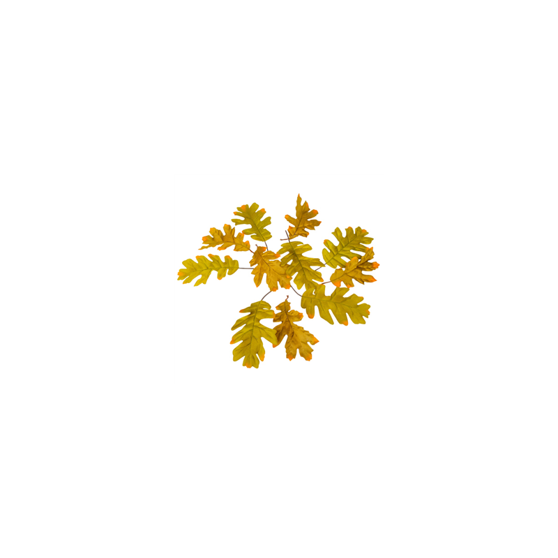 Sachet de 12 feuilles d'automne (chêne)