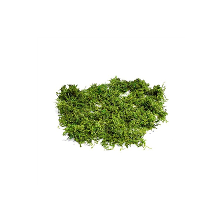 Mousse végétale naturelle semi-sèche 50g