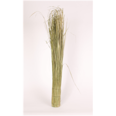 Fagot d'herbe - Haut. 100cm Diam. 10cm