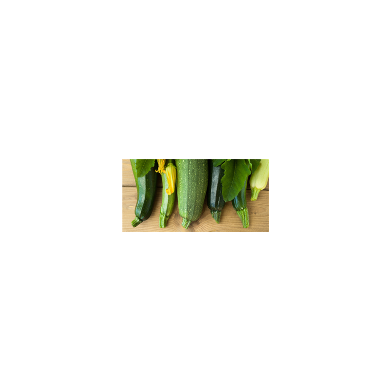 Panoramique Courgettes - PVC - 60 x 30 cm