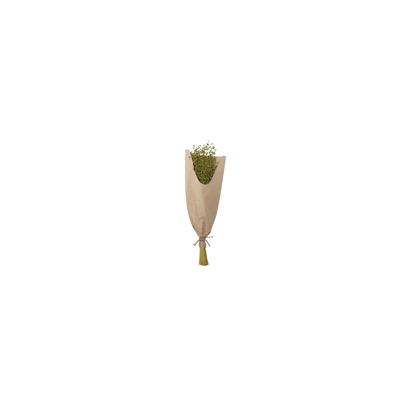 Bouquet de Lin naturel 100g - Haut. 60cm