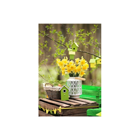 Visuel Jonquilles- PVC - 30 x 20 cm