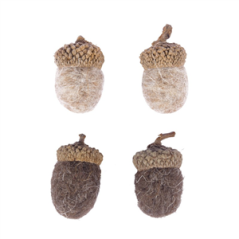 Sachet de 12 glands taupes et marrons 2.5cm