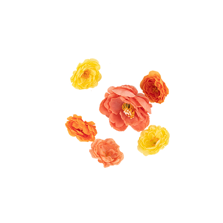 Assortiment de 6 Fleurs Corail et Ocre De 7,5 à 4 cm