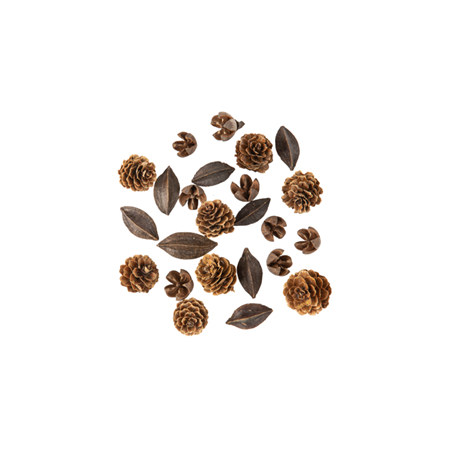 Assortiment d'Écorces et Pommes de Pin Naturel De 1 à 3,5cm - 24pcs