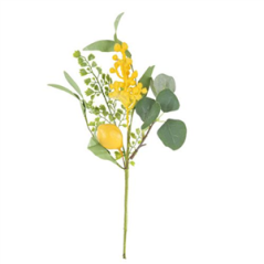 Branche de mimosa et citrons - Haut. 40cm
