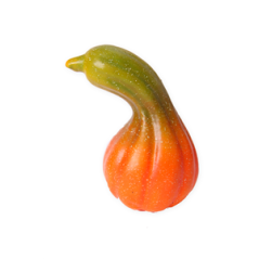 Coloquinte - polystyrène - H. 30cm