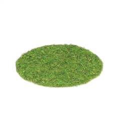 Set de Table Végétal Mousse Naturelle - Diam. 35 cm