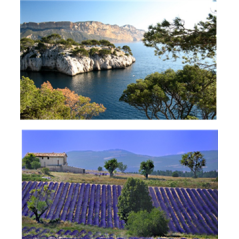 Mobiles Été x2 - carton - 27 x 44cm