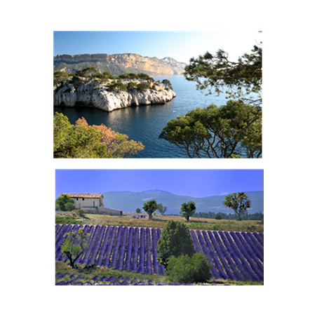 Mobiles Été x2 - carton - 27 x 44cm