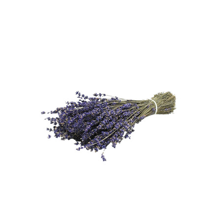 Bouquet de Lavande super bleue 80 grs