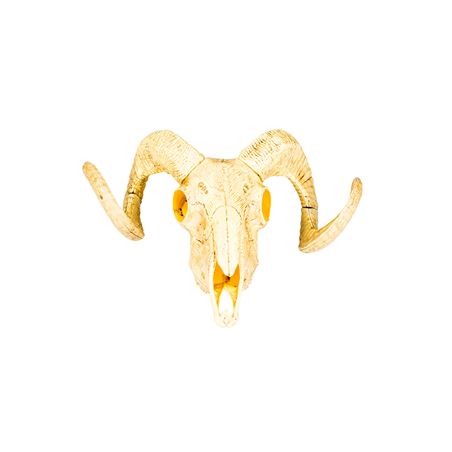 Crâne d'animal (28 x 36 cm) en plastique