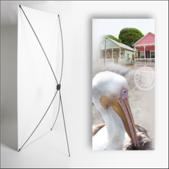 Kakemono Louisiane Pelican - 180 x 80 cm - Toile M1 avec structure  X- Banner