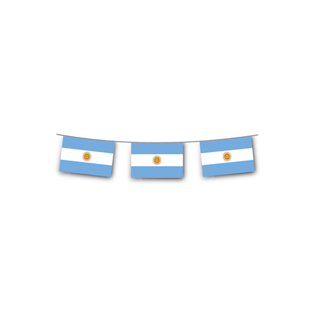 Guirlande drapeaux Argentine 10 fanions 20 x 30cm - papier Long. 520cm