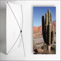 Kakemono AMS Cactus - 180 x 80 cm - Toile M1 avec structure X- Banner