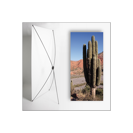 Kakemono AMS Cactus - 180 x 80 cm - Toile M1 avec structure X- Banner