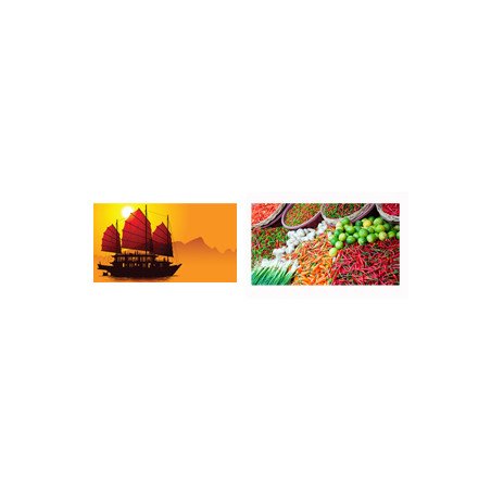 Mobiles Asie x2 - carton - 27 x 49cm