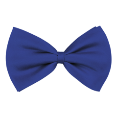 Nœud papillon bleu en tissu