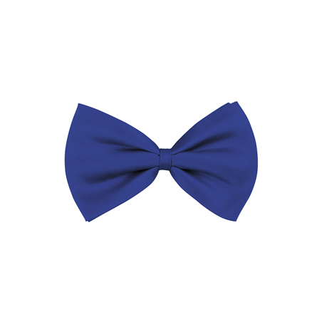 Nœud papillon bleu en tissu