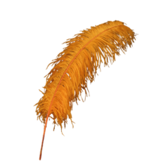 Lot de 10 plumes d'autruche orange 65-70 cm