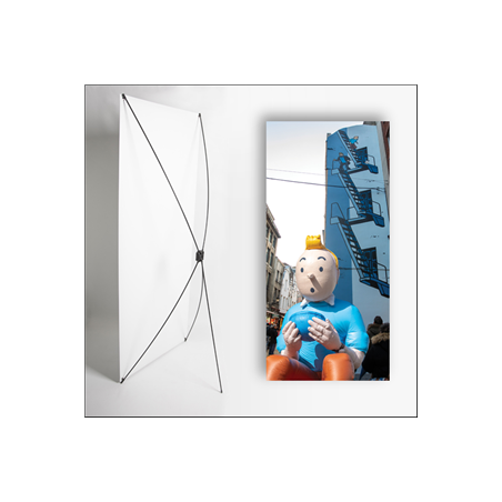 Kakemono Belgique Tintin - 180 x 80 cm sur Toile M1 avec structure X- Banner