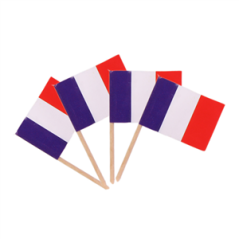 Drapeaux mini France x50 papier - 3.5 x 2.5cm (pic en bois de 6.5cm)
