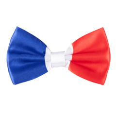 Nœud papillon tricolore France en satin